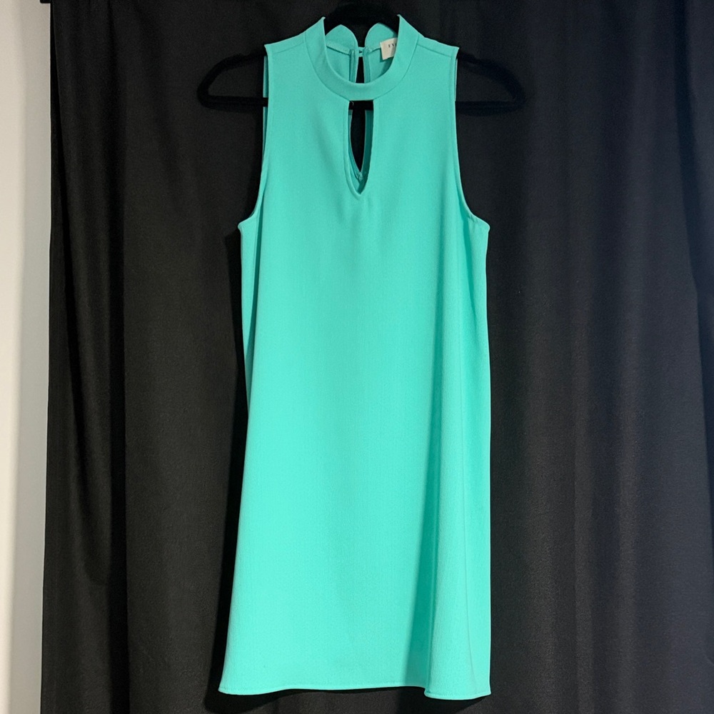 Everly Aqua Sleeveless Mini Dress